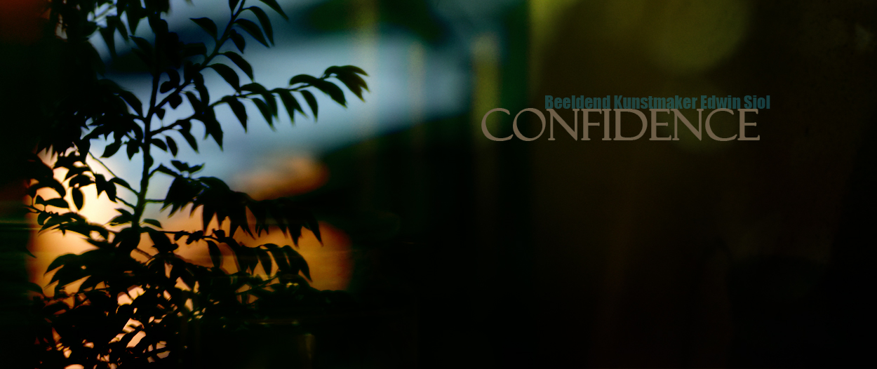 Confidence-header-1250